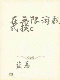 在无限游戏里花式挨c