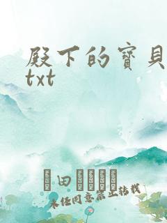 殿下的宝贝公主txt