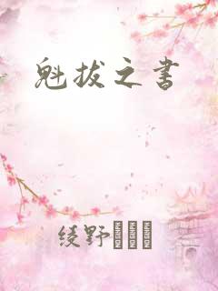 魁拔之书