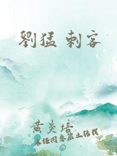 刘猛 刺客