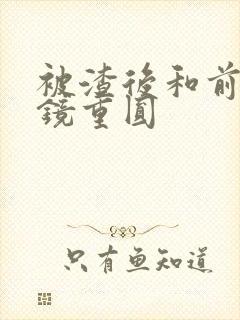 被渣后和前夫破镜重圆