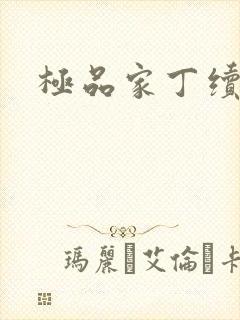 极品家丁续集