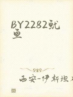 BY2282鱿鱼