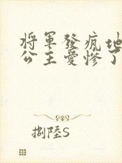 将军发疯地撞着公主爱惨了公主