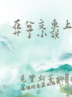 在公交车上被人艹了小说