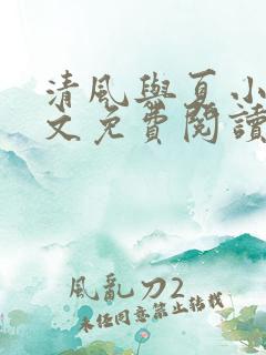 清风与夏小说全文免费阅读最新章节