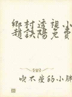 乡村透视小神医赵铁阳免费阅读下载