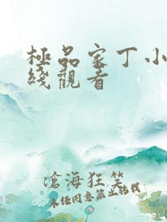 极品家丁小说在线观看