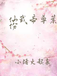 仙武帝尊叶辰身份