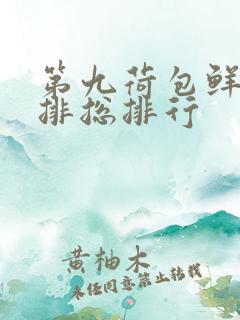 第九荷包鲜辣肉排总排行