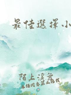 最佳选择小说