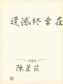 遗憾终常在小说