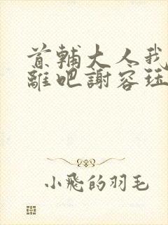 首辅大人我们和离吧谢容珏
