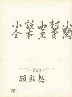小说山村小农民全本免费阅读
