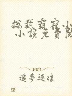 总裁霸宠小娇妻 小说免费阅读