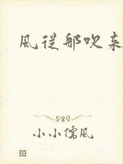 风从那吹来小说