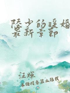 陆少的暖婚新妻最新章节