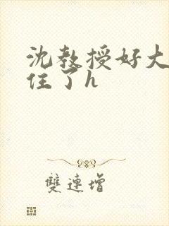 沈教授好大含不住了h