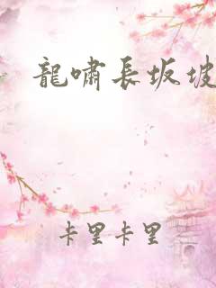 龙啸长坂坡