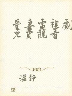 爱妻电视剧泰剧免费观看