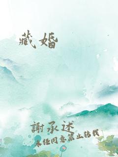 藏婚