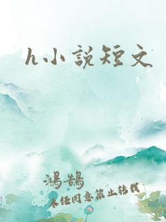 h小说短文