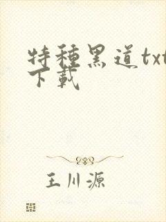 特种黑道txt下载