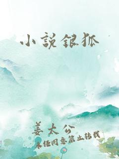 小说银狐