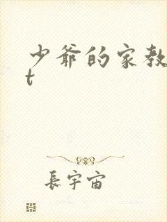 少爷的家教txt
