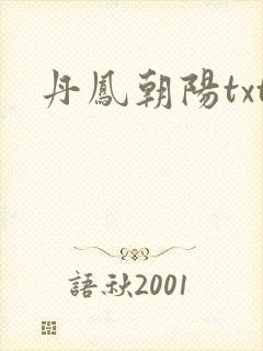 丹凤朝阳txt