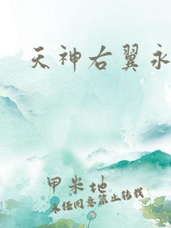 天神右翼永恒