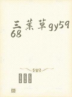 三叶草gy5968