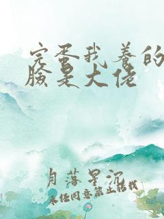 完蛋我养的小白脸是大佬