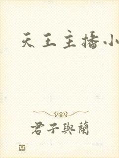 天王主播小说