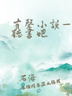 有声小说—有声听书吧
