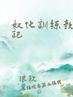 奴化训练教程日记