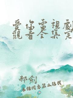爱你电视剧免费观看全集完整版高清