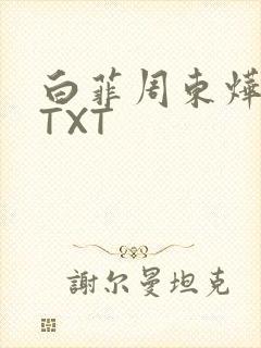 白菲周东烨小说TXT