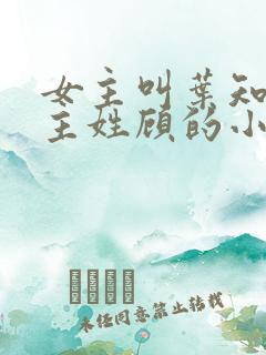 女主叫叶知秋男主姓顾的小说