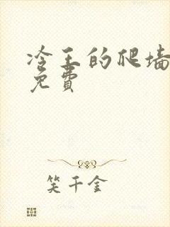 冷王的爬墙丑妃免费
