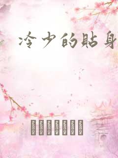冷少的贴身女人