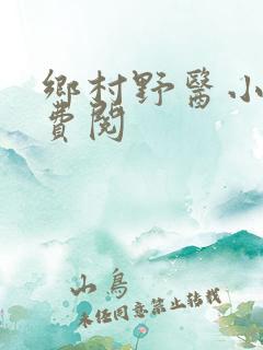 乡村野医小说免费阅