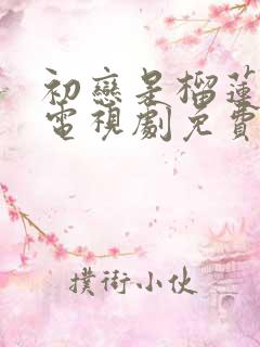 初恋是榴莲先生电视剧免费观看