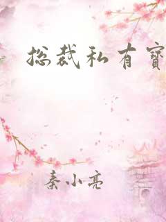 总裁私有宝贝