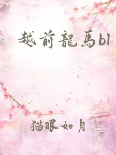 越前龙马bl