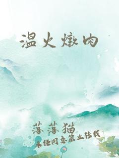 温火炖肉