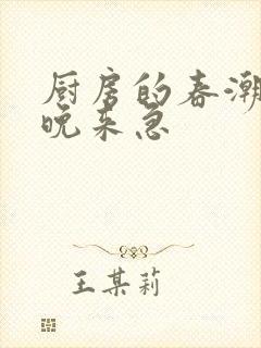 厨房的春潮带雨晚来急