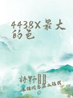 4438X最大的色