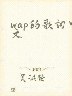 wap的歌词中文