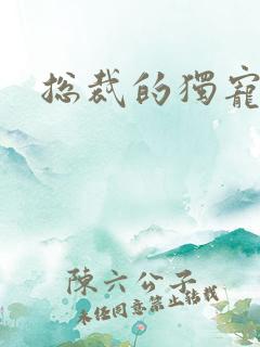 总裁的独宠